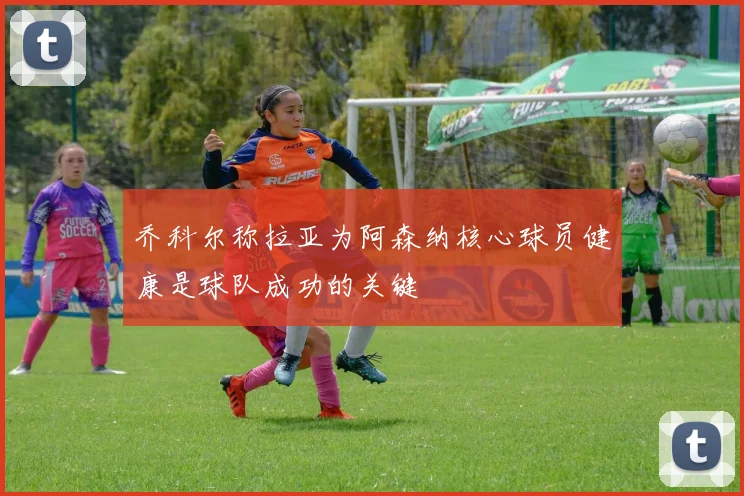 乔科尔称拉亚为阿森纳核心球员健康是球队成功的关键